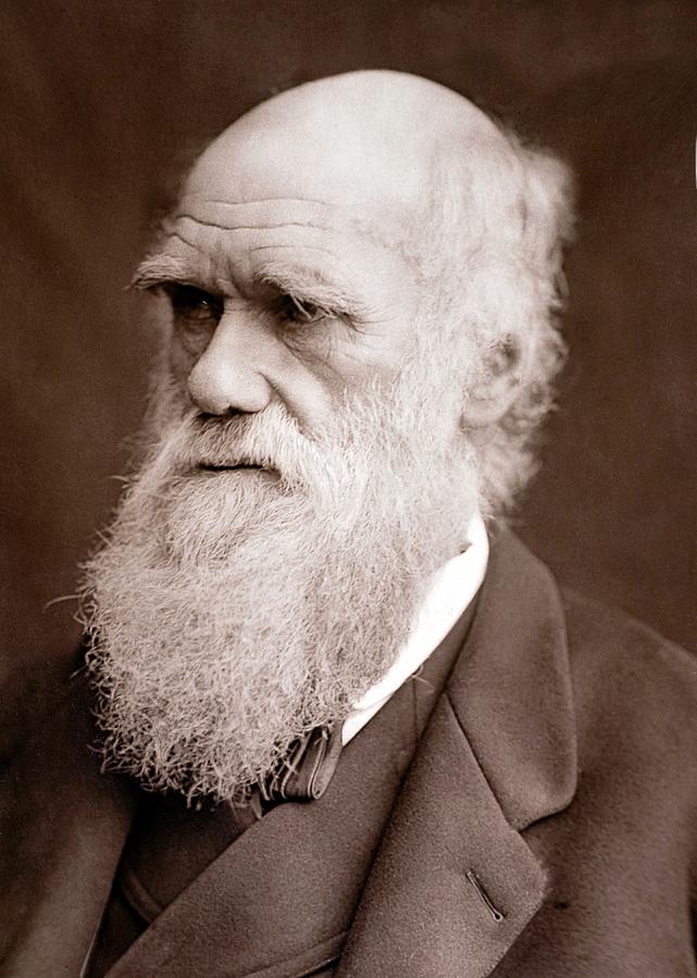 Charles Darwin Protrait