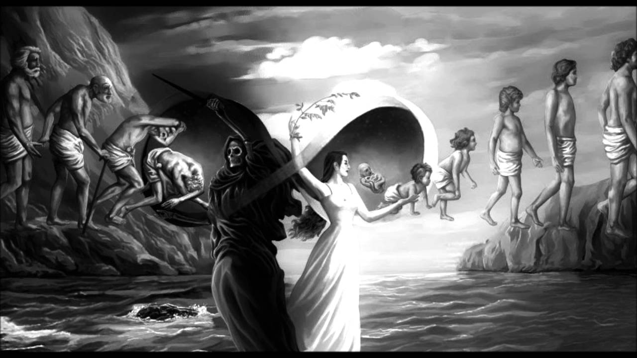 Metempsychosis